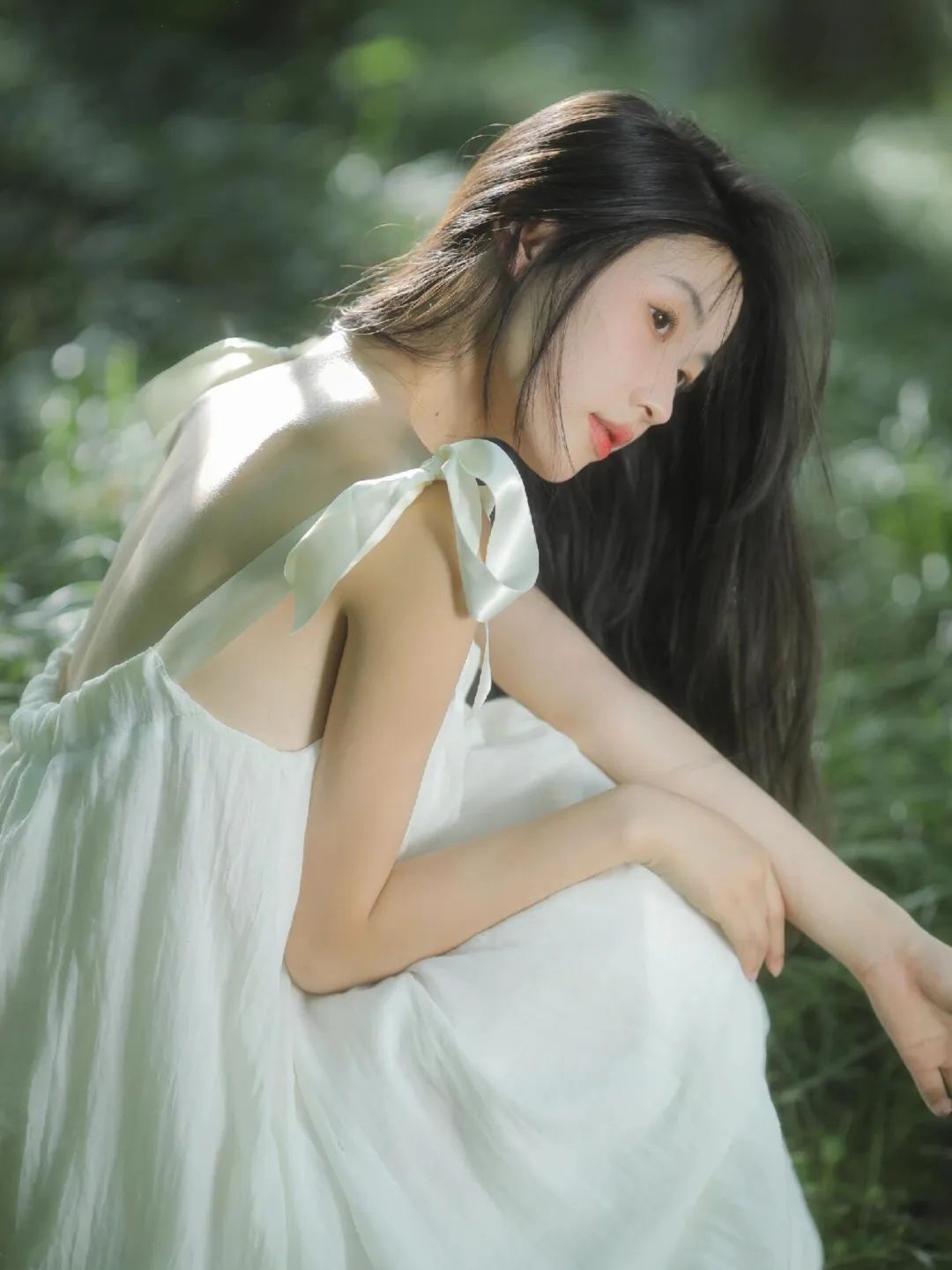夏日小森林