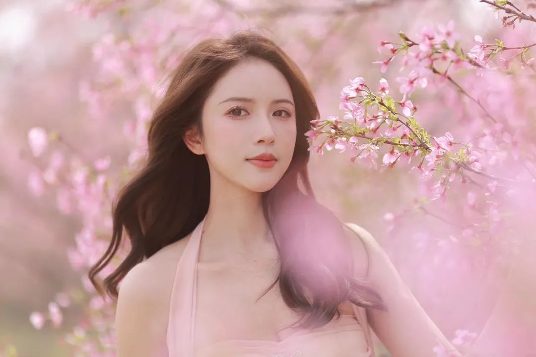 风有约，花不误