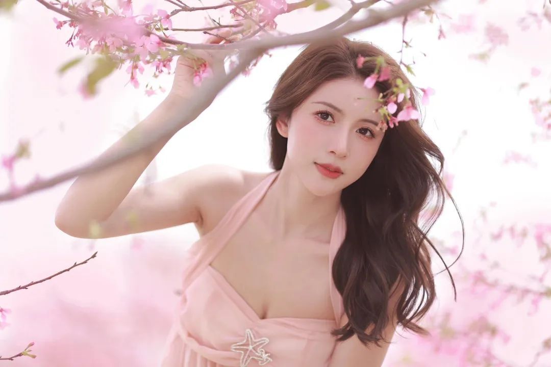 风有约，花不误
