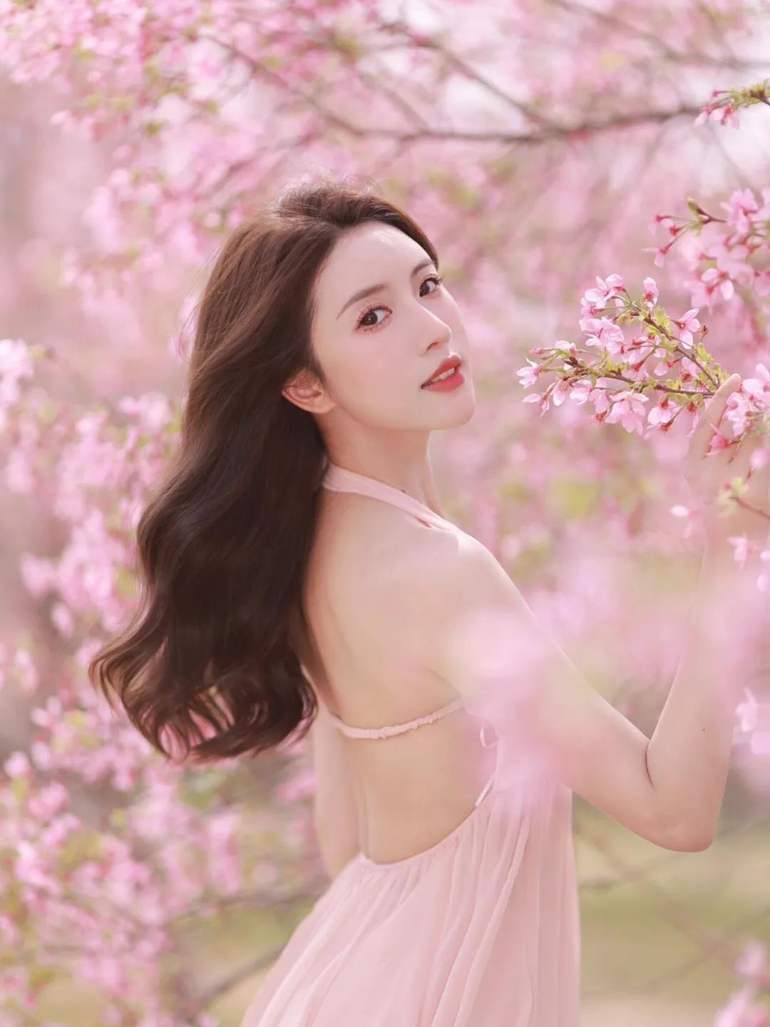 风有约，花不误
