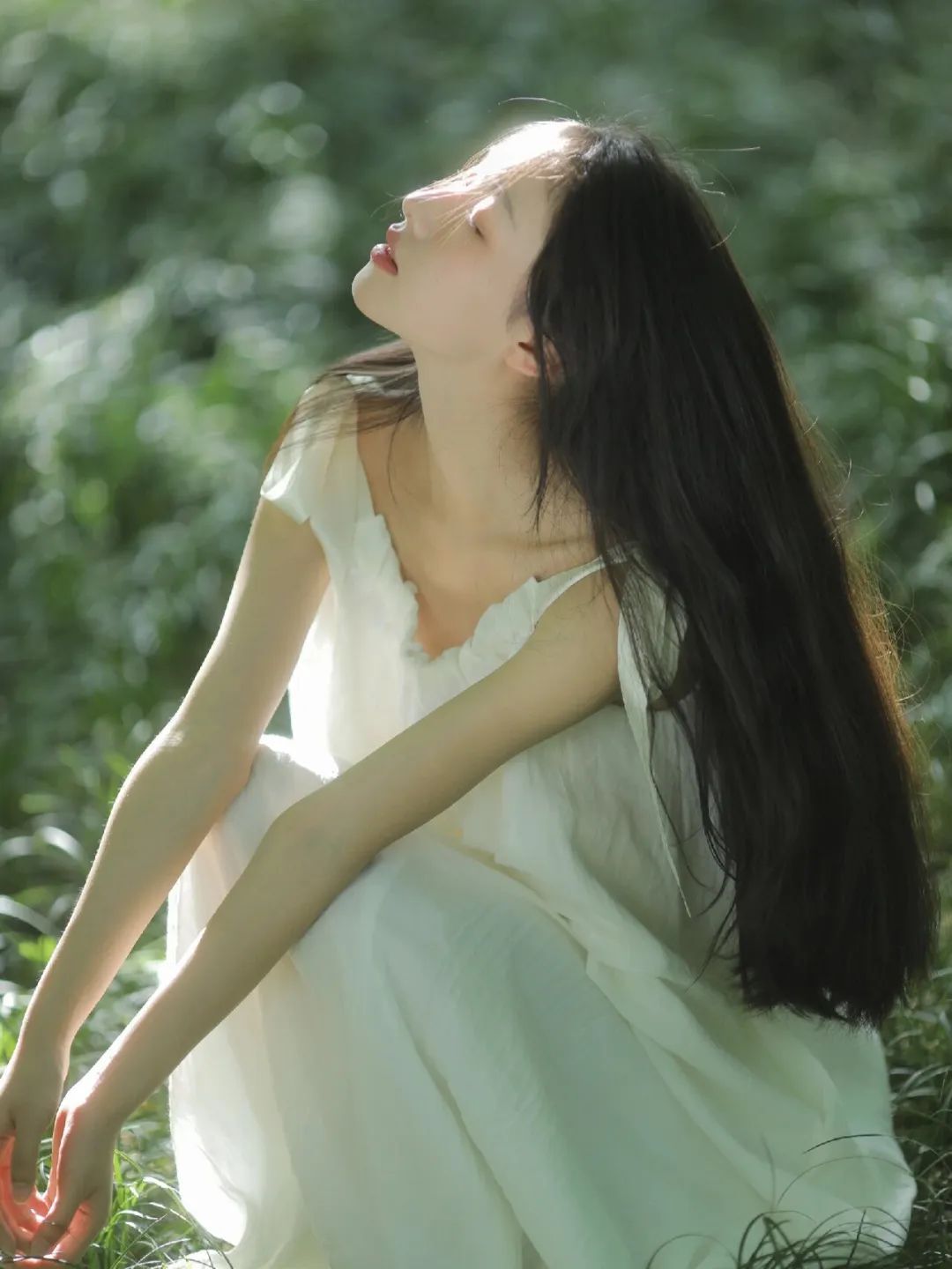 夏日小森林