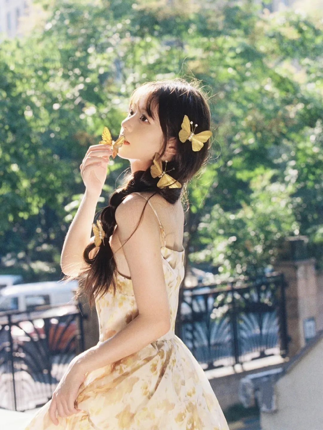 秋日里的金色蝴蝶