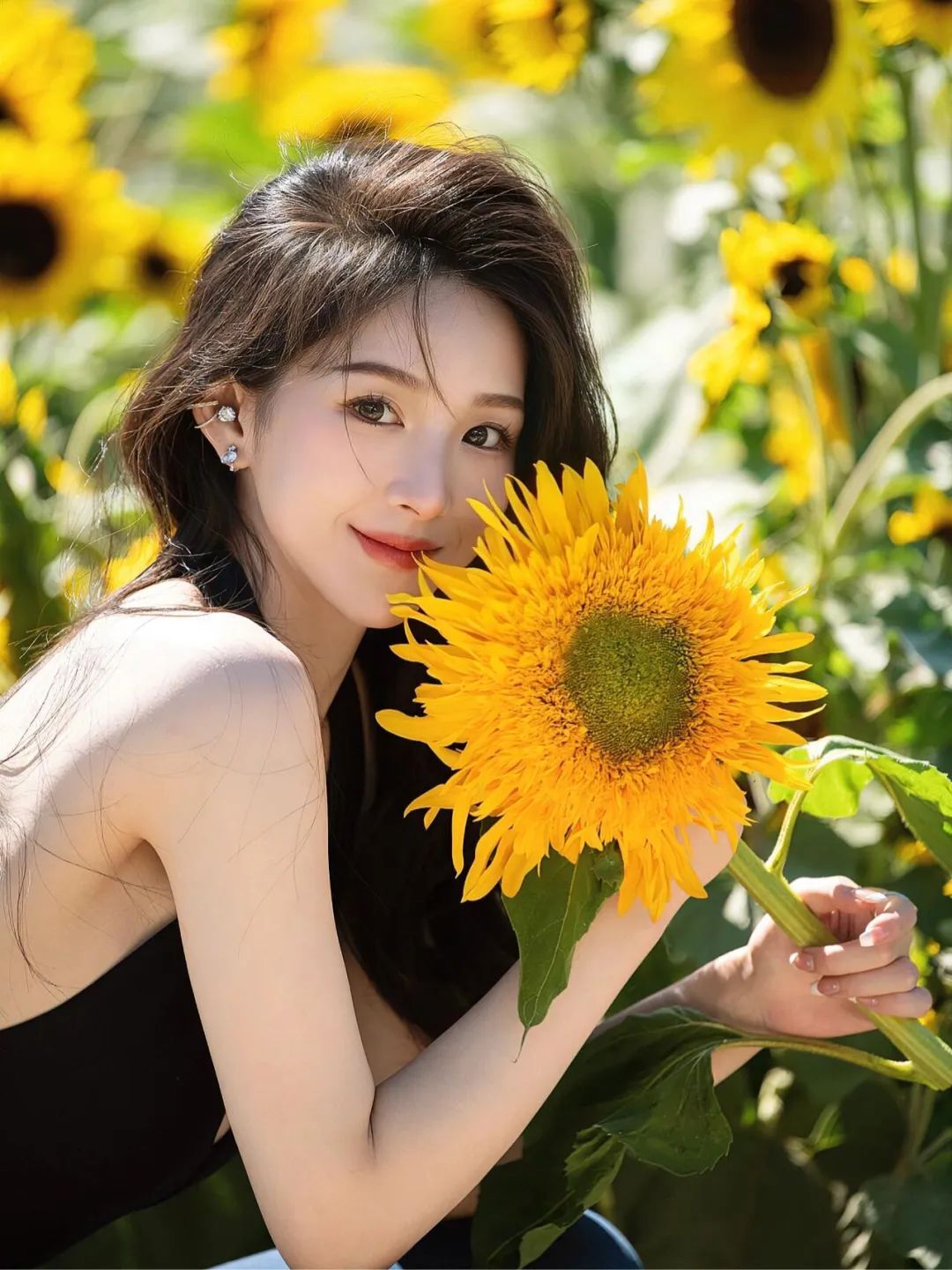 与向日葵的约会