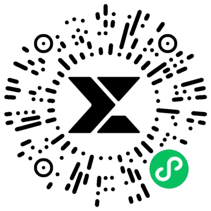 写真丨知心有庭树 亭亭一如你风致