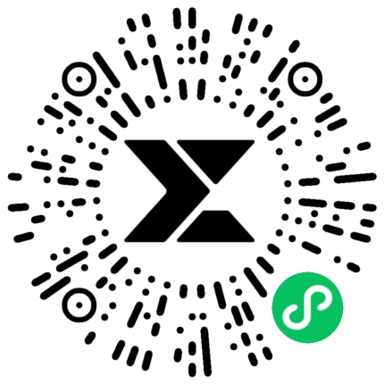 写真丨鲜花和四季 都不如和你在一起