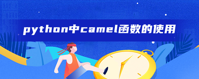 python中camel函数的使用