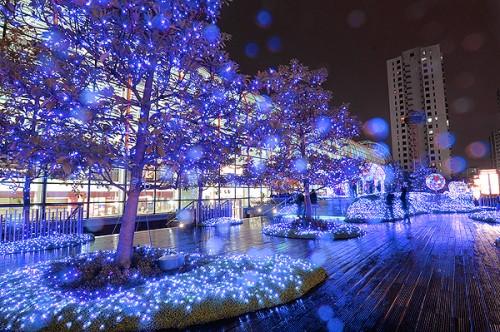 摄影技巧：雨天拍摄技巧(下)