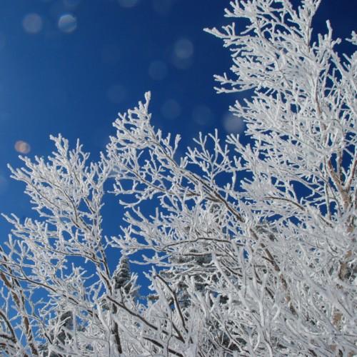 雪地拍摄4个技巧