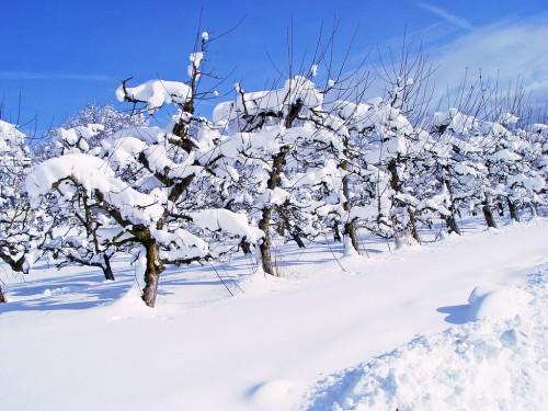 雪地拍摄4个技巧