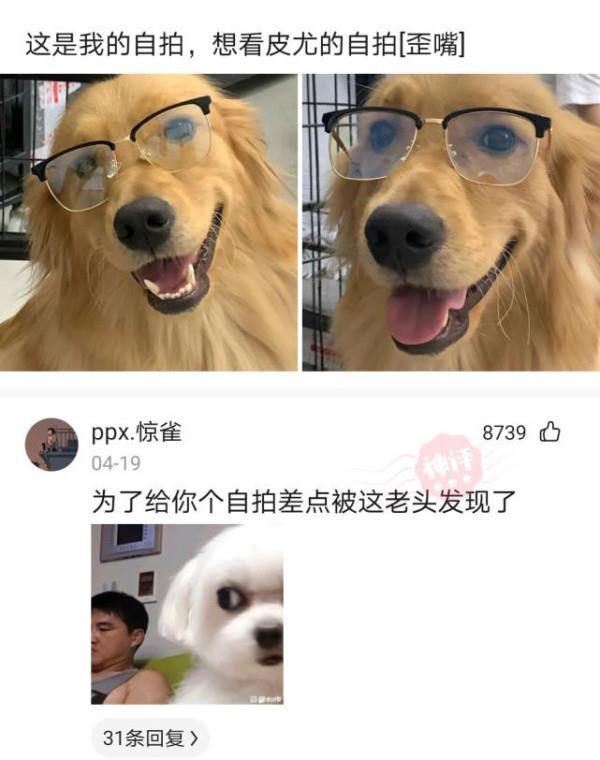 吃饭情侣应该怎么坐，情侣吃饭坐对面好还是旁边好