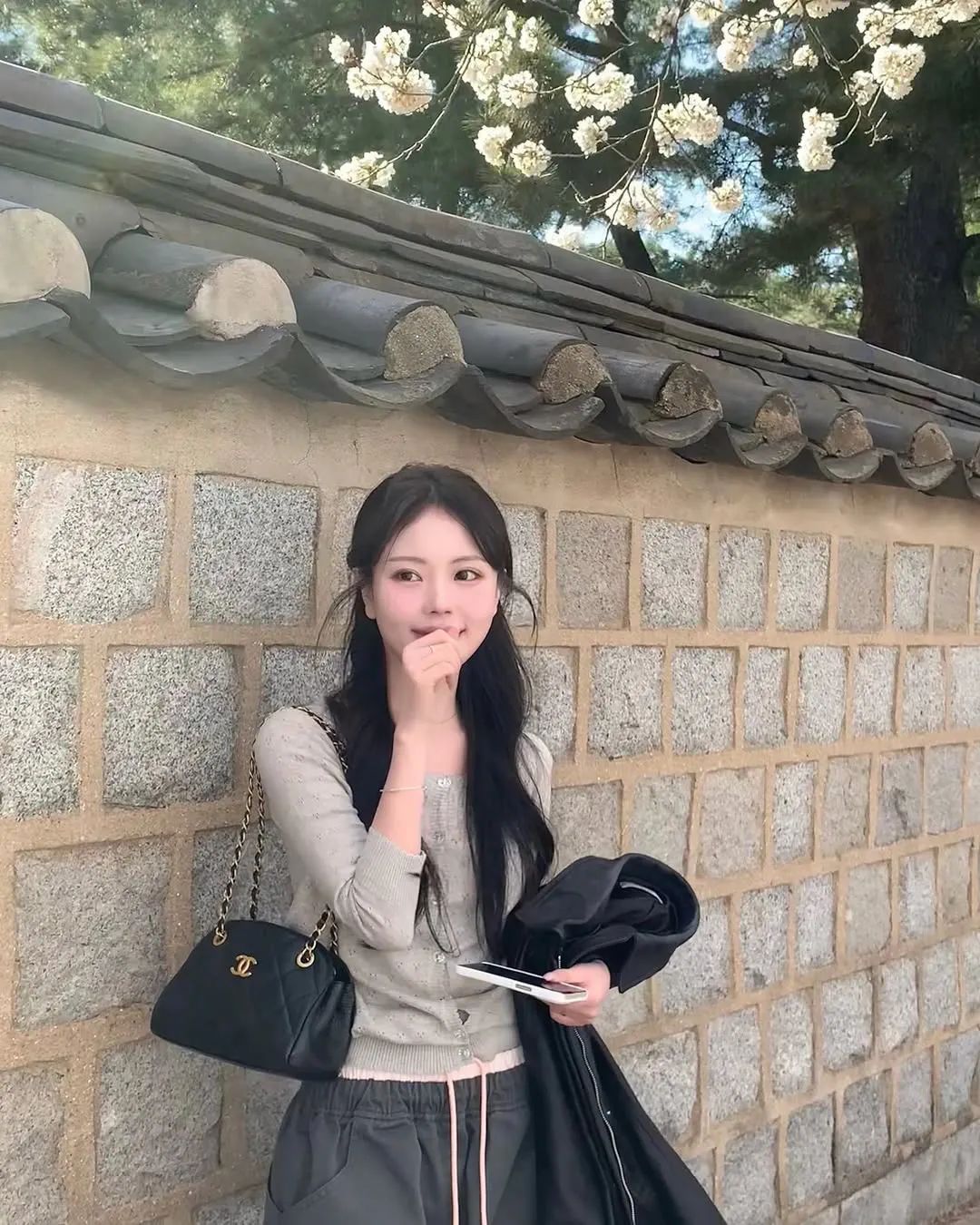 韩国ins博主: juccicul
